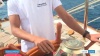 Revue de presse Corsica Classic Yachting 2025