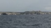 Corsica Classic 2013 - J5 - Bonifacio - Porto Vecchio
