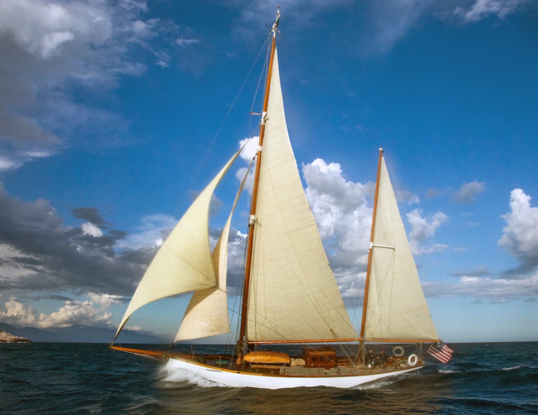 SY Wiki photo : Help Save The Med DR SY Wiki photo : Help Save The Med DR