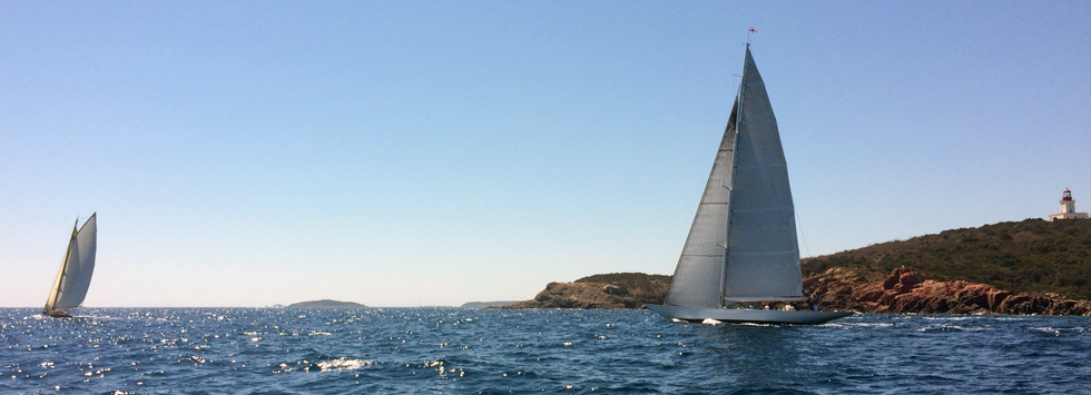 SY Olympian x SY Savannah La Chiappa photo Thibaud Assante SY Olympian x SY Savannah La Chiappa photo Thibaud Assante