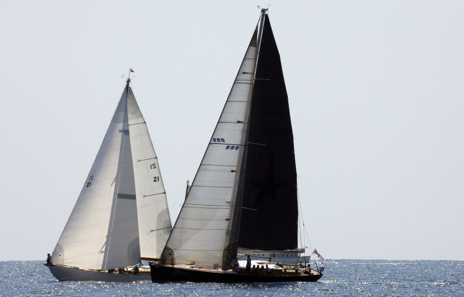 CC 2018 SY Skylark VS Mister Fips photo Françoise Tafani DR