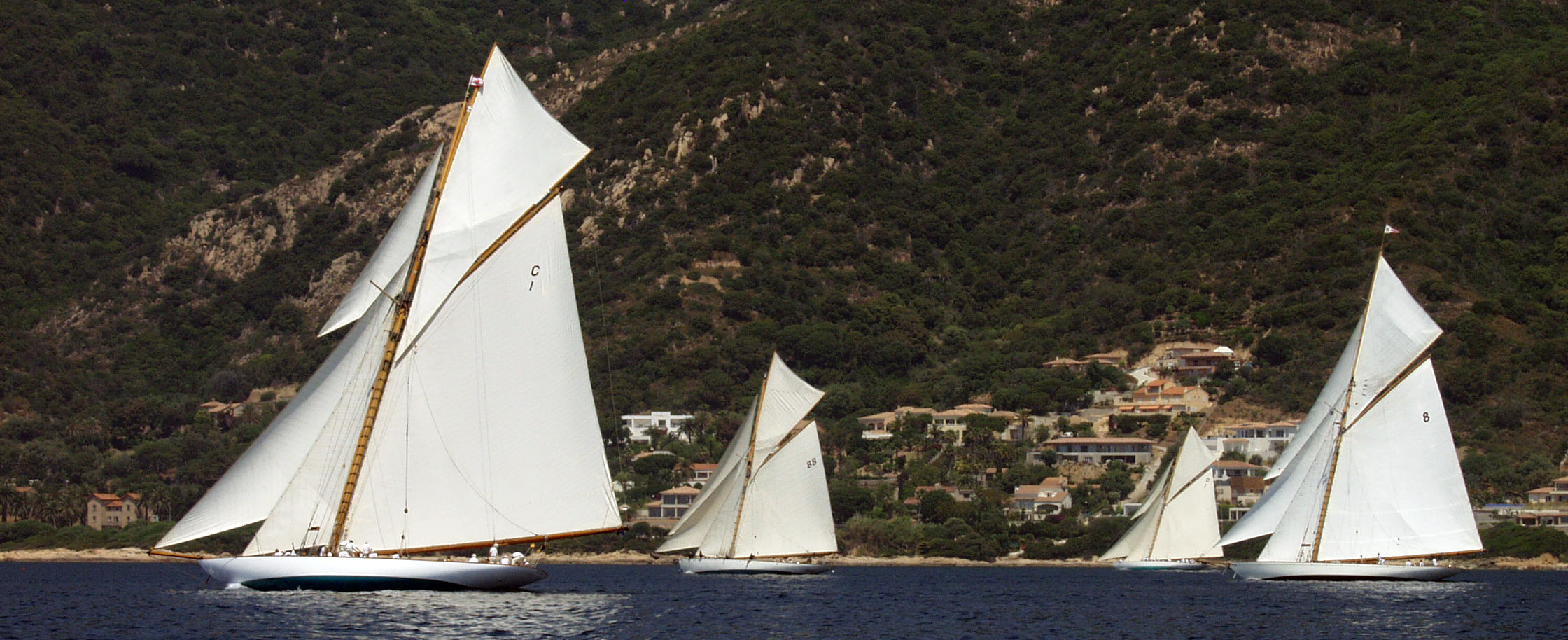 RI 2007 SY mariquita x SY Moonbeam of Fife x SY Mariska x SY Moonbeam IV photo Thibaud Assante DR RI 2007 SY mariquita x SY Moonbeam of Fife x SY Mariska x SY Moonbeam IV photo Thibaud Assante DR