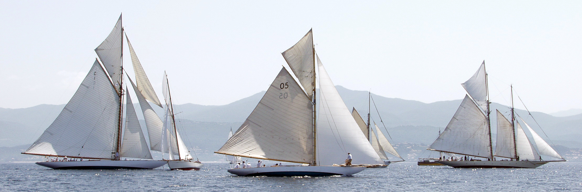 RI 2007 SY Mariquita x SY Vistona x SY Pesa x SY Sunshine photo Thibaud Assante DR RI 2007 SY Mariquita x SY Vistona x SY Pesa x SY Sunshine photo Thibaud Assante DR