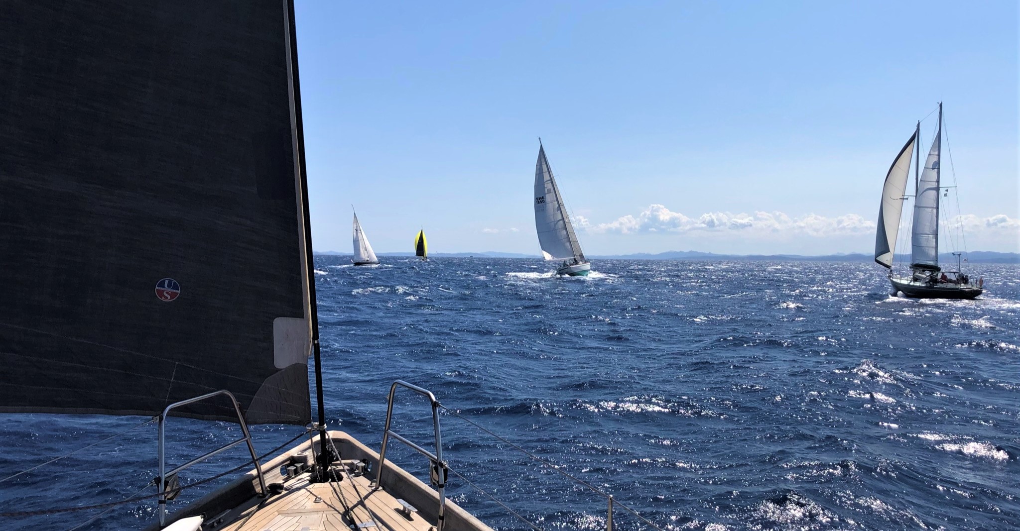 Bonifacio SY Mister x SY Abdelimar III x SY Tinhtagel x SY Typhaine II x SY Hounbonne IV photo Thibaud Assante DR Bonifacio SY Mister x SY Abdelimar III x SY Tinhtagel x SY Typhaine II x SY Hounbonne IV photo Thibaud Assante DR