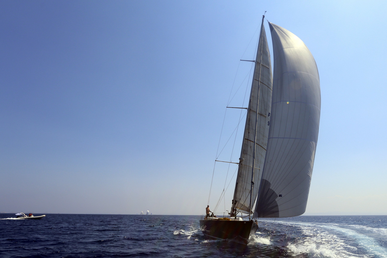 SY Mr Fips SY Mr Fips