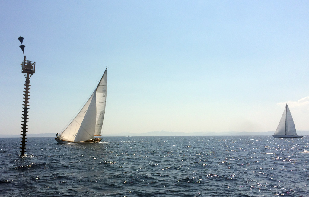 SY Serenade SY Lys SY Serenade SY Lys