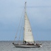 CC 2018 photo Francoise Tafani Macinaggio St Florent DR (3)