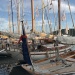 CC 2018 photo Thibaud Assante Macinaggio St Florent DR (21)