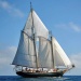SY Windjammer photo DR