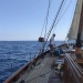 CC 2019 bonifacio 26 08 photo Thibaud Assante DR (30)