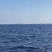 CC 2019 bonifacio 26 08 photo Thibaud Assante DR (33)