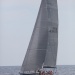 CC 2019 photo Françoise Tafani Mardi 27 aout DR (4)