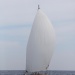 CC 2019 photo Françoise Tafani Mardi 27 aout DR (7)