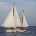 CC 2019 photo Françoise Tafani Mardi 27 aout DR (23)
