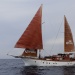 CC 2019 photo Olivier Mariotti mardi 27 aout bonifacio portovecchio dr (61)