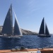 CC 2019 photo Katia Kulawick Assante mardi 27 aout DR (14)