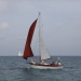 CC 2019 mercredi 28 aout photo Françoise Tafani DR (32