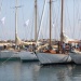 CC 2019 mercredi 28 aout photo Françoise Tafani DR (40)