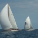 CC 2019 Sari Solenzara Bastia jeudi 29 aout photo Olivier Mariotti DR (29)