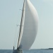 CC 2019 Sari Solenzara Bastia jeudi 29 aout photo Olivier Mariotti DR (31)