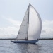CC 2019 Sari Solenzara Bastia jeudi 29 aout photo Olivier Mariotti DR (35)