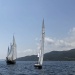 CC 2019 Sari Solenzara Bastia jeudi 29 aout photo Katia Kulawick Assante DR (14)