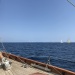 CC 2019 Sari Solenzara Bastia jeudi 29 aout photo Thibaud Assante DR (8)