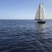 CC 2019 Sari Solenzara Bastia jeudi 29 aout photo Thibaud Assante DR (26)