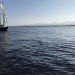 CC 2019 Sari Solenzara Bastia jeudi 29 aout photo Thibaud Assante DR (27)