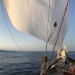 CC 2019 Sari Solenzara Bastia jeudi 29 aout photo Thibaud Assante DR (35)