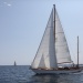 CC 2019 Sari Solenzara Bastia jeudi 29 aout photo Françoise Tafani DR (13)d