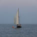 CC 2019 Sari Solenzara Bastia jeudi 29 aout photo Françoise Tafani DR (42)