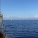 CC 2019 Bastia Macinaggio vendredi 30 aout photo Katia Kulawick Assante DR (29)