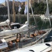 CC 2019 Bastia Macinaggio vendredi 30 aout photo Thibaud Assante DR (4)