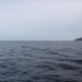 CC 2019 Bastia Macinaggio  vendredi 30 aout photo Françoise Tafani DR ar (0)