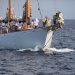 CC 2019 Bastia Macinaggio  vendredi 30 aout photo Françoise Tafani DR ar (19)