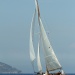 CC 2019 Bastia Macinaggio vendredi 30 aout photo Olivier Mariotti DR (28)
