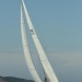 CC 2019 Bastia Macinaggio vendredi 30 aout photo Olivier Mariotti DR (58)