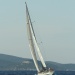 CC 2019 Bastia Macinaggio vendredi 30 aout photo Olivier Mariotti DR (61)