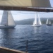 CC 2019 Macinaggio Saint Florent samedi 31 aout photo Katia Kulawick Assante DR (6)