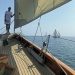 CC 2019 Macinaggio Saint Florent samedi 31 aout photo Katia Kulawick Assante DR (30)
