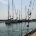 CC 2019 Macinaggio Saint Florent samedi 31 aout photo Thibaud Assante DR (4)