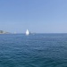 CC 2019 Macinaggio Saint Florent samedi 31 aout photo Thibaud Assante DR (18)