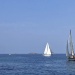 CC 2019 Macinaggio Saint Florent samedi 31 aout photo Thibaud Assante DR (19)