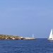 CC 2019 Macinaggio Saint Florent samedi 31 aout photo Thibaud Assante DR (33)