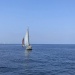 CC 2019 Macinaggio Saint Florent samedi 31 aout photo Thibaud Assante DR (36)
