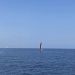 CC 2019 Macinaggio Saint Florent samedi 31 aout photo Thibaud Assante DR (38)