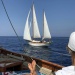 CC 2019 Macinaggio Saint Florent samedi 31 aout photo Thibaud Assante DR (47)