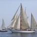 CC 2019 Macinaggio Saint Florent samedi 31 aout photo Françoise Tafani DR (16