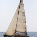 CC 2019 Macinaggio Saint Florent samedi 31 aout photo Françoise Tafani DR (4)